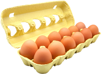 eggs cutout