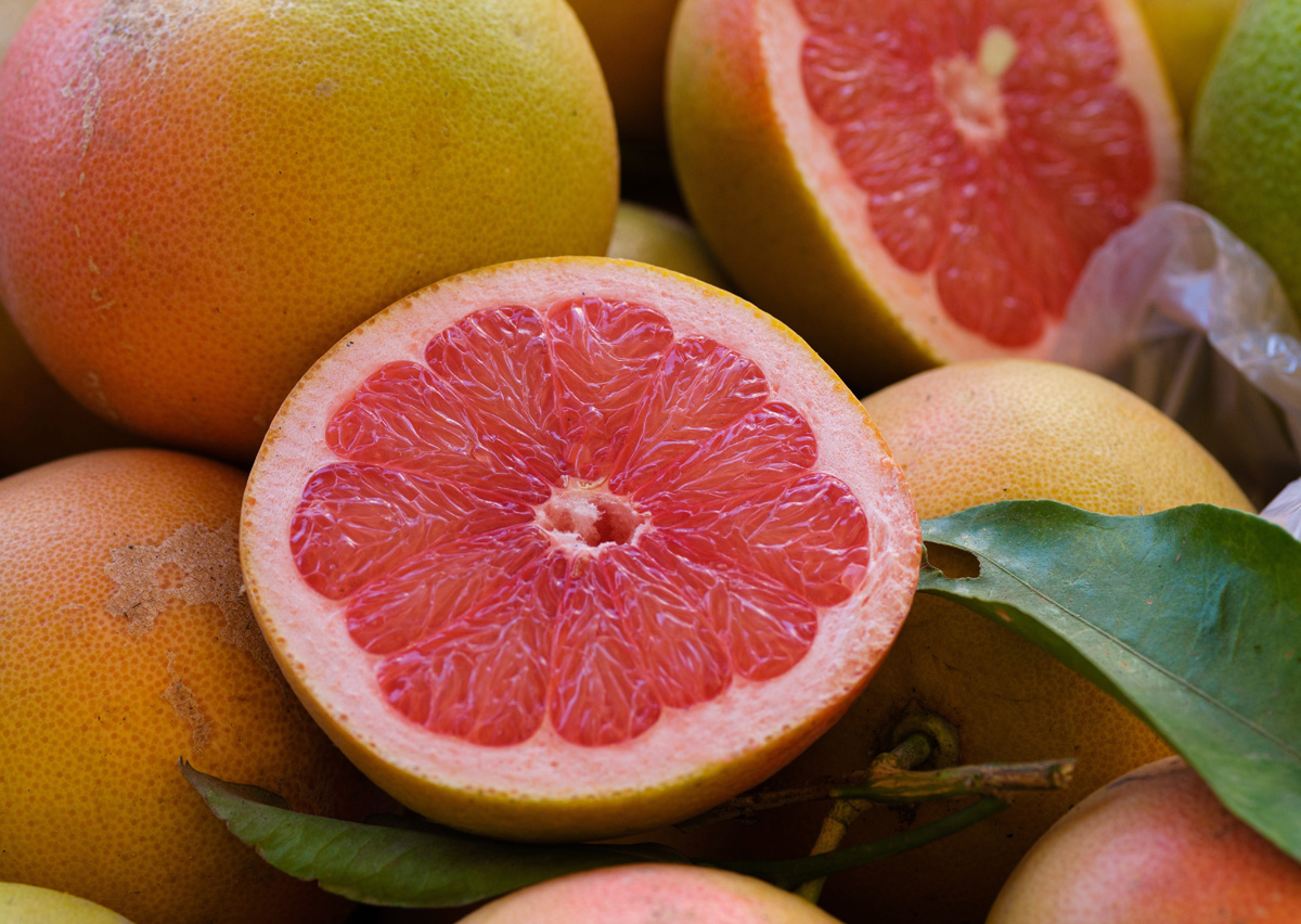 Historical pricing of grapefruits in the the United States