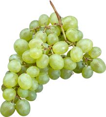 grapes cutout
