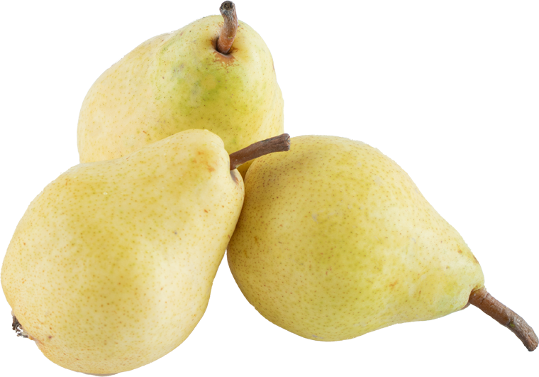 pears cutout